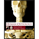 Image for 