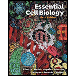 Image for ESSENTIAL CELL BIOLOGY-W/ACCESS (PB)   