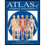 Cover Image For BARCHARTS ANATOMY ATLAS  
