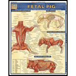 Cover Image For BARCHARTS FETAL PIG      