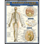 Cover Image For BARCHARTS NERVOUS SYSTEM 