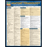 Cover Image For BARCHARTS ANATOMY TERMINOLOGY