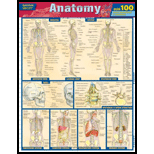 Cover Image For BARCHARTS QUIZZER ANATOMY