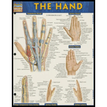Cover Image For BARCHARTS THE HAND       