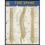 Cover Image For BARCHARTS THE SPINE      