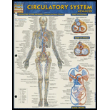 Cover Image For BARCHARTS CIRCULATORY SYSTEM
