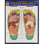 Cover Image For BARCHARTS REFLEXOLOGY    