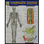 Cover Image For BARCHART LYMPHATIC SYSTEM