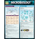 Cover Image For BARCHARTS BARCHART MICROBIOLOGY