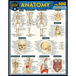 Cover Image For BARCHARTS ANATOMY QUIZZER
