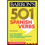 Image for 501 SPANISH VERBS                      