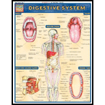 Cover Image For BARCHARTS DIGESTIVE SYSTEM