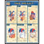 Cover Image For BARCHARTS HEART          