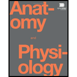 Image for ANATOMY+PHYSIOLOGY (OER)               