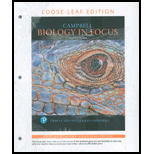 Image for 